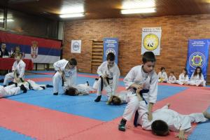 IMG-e483e498bbebf8e315c8f1ec23e2b086-V