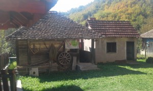 20161001_135407_resize