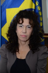 STF_0291